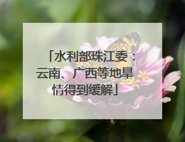 水利部珠江委：云南、广西等地旱情得到缓解