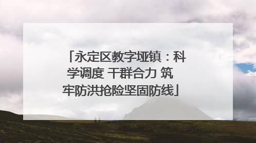 永定区教字垭镇：科学调度 干群合力 筑牢防洪抢险坚固防线