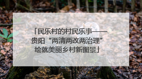 民乐村的村民乐事——贵阳“两清两改两治理”绘就美丽乡村新图景
