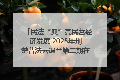 民法“典”亮民营经济发展 2025年荆楚普法云课堂第二期在武汉客厅开讲