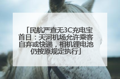 民航严查无3C充电宝首日：天河机场允许乘客自弃或快递，相机锂电池仍按原规定执行