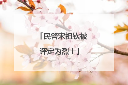 民警宋祖钦被评定为烈士