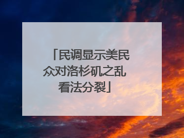 民调显示美民众对洛杉矶之乱看法分裂