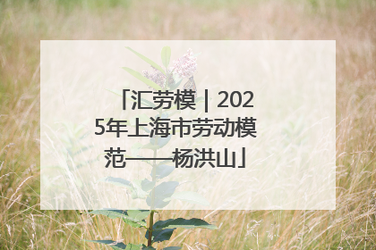 汇劳模｜2025年上海市劳动模范——杨洪山