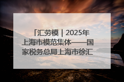 汇劳模｜2025年上海市模范集体——国家税务总局上海市徐汇区税务局第一税务所
