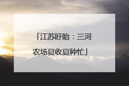 江苏盱眙：三河农场夏收夏种忙