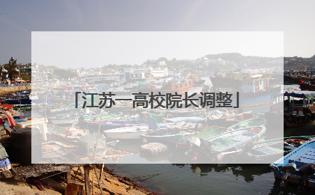 江苏一高校院长调整
