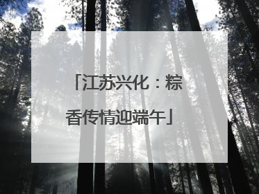 江苏兴化：粽香传情迎端午