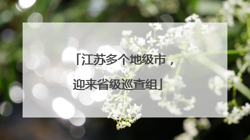 江苏多个地级市，迎来省级巡查组