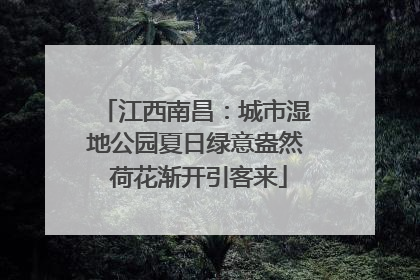 江西南昌：城市湿地公园夏日绿意盎然 荷花渐开引客来