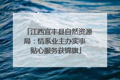 江西宜丰县自然资源局：情系业主办实事 贴心服务获锦旗