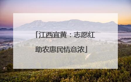 江西宜黄：志愿红助农惠民情意浓