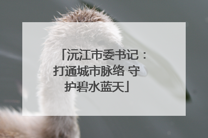 沅江市委书记：打通城市脉络 守护碧水蓝天