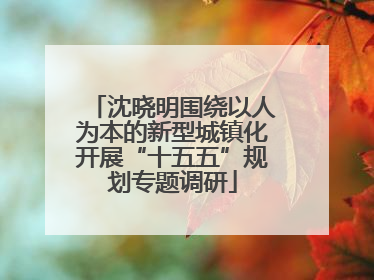 沈晓明围绕以人为本的新型城镇化开展“十五五”规划专题调研