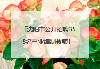 沈阳市公开招聘358名事业编制教师