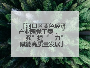 河口区蓝色经济产业园党工委：“三强”提“三力”赋能高质量发展