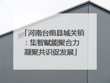 河南台前县城关镇：集智赋能聚合力 凝聚共识促发展