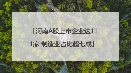 河南A股上市企业达111家 制造业占比超七成