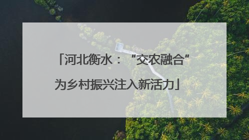 河北衡水：“交农融合”为乡村振兴注入新活力