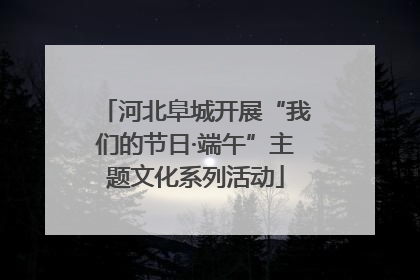 河北阜城开展“我们的节日·端午”主题文化系列活动