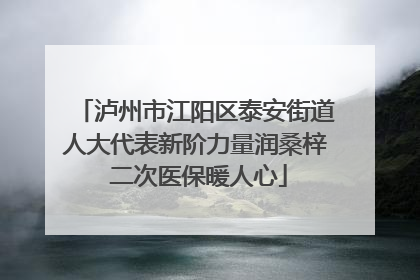 泸州市江阳区泰安街道人大代表新阶力量润桑梓 二次医保暖人心