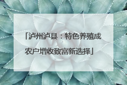 泸州泸县：特色养殖成农户增收致富新选择