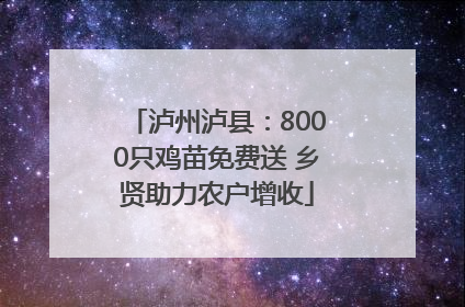 泸州泸县：8000只鸡苗免费送 乡贤助力农户增收