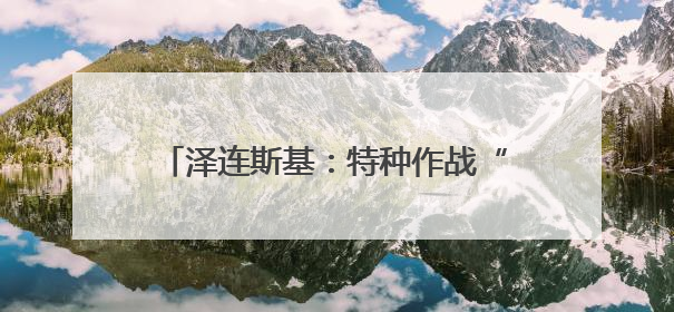 泽连斯基：特种作战“蛛网”为乌独立实施