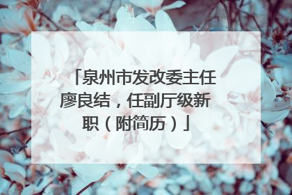 泉州市发改委主任廖良结，任副厅级新职（附简历）