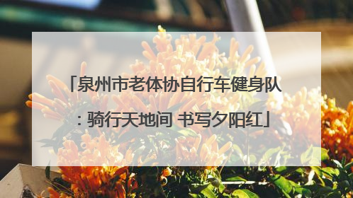 泉州市老体协自行车健身队：骑行天地间 书写夕阳红
