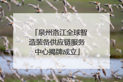 泉州洛江全球智造装备供应链服务中心揭牌成立
