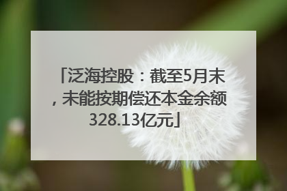 泛海控股：截至5月末，未能按期偿还本金余额328.13亿元