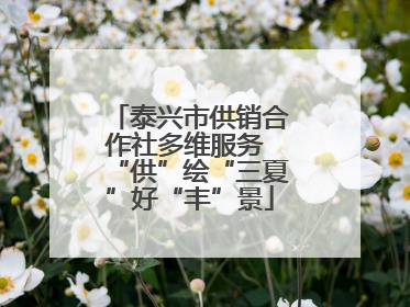 泰兴市供销合作社多维服务 “供”绘“三夏”好“丰”景