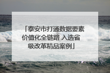 泰安市打通数据要素价值化全链路 入选省级改革精品案例