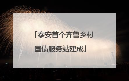 泰安首个齐鲁乡村国债服务站建成