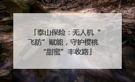 泰山保险：无人机“飞防”赋能，守护樱桃“甜蜜”丰收路