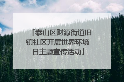 泰山区财源街道旧镇社区开展世界环境日主题宣传活动