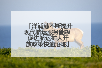 洋浦港不断提升现代航运服务能级 促进航运扩大开放政策快速落地
