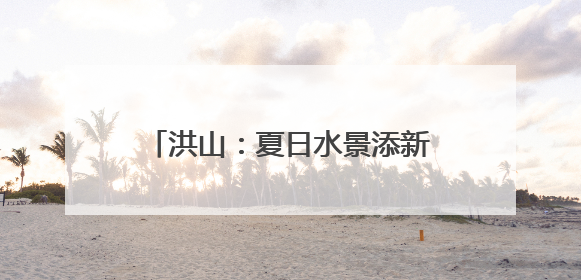 洪山：夏日水景添新韵 碧波粉黛入画来