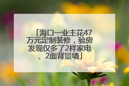 海口一业主花47万元定制装修，验房发现仅多了2样家电、2面背景墙