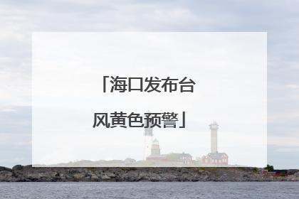 海口发布台风黄色预警