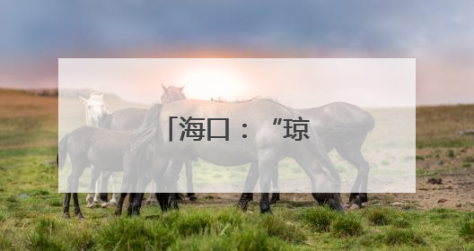 海口：“琼山福稻”香