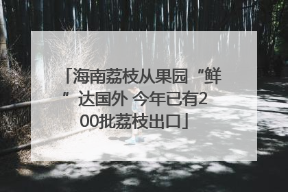 海南荔枝从果园“鲜”达国外 今年已有200批荔枝出口