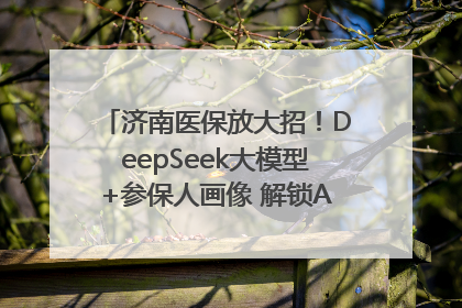 济南医保放大招！DeepSeek大模型+参保人画像 解锁AI医保管家新体验