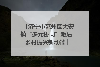 济宁市兖州区大安镇“多元协同”激活乡村振兴新动能