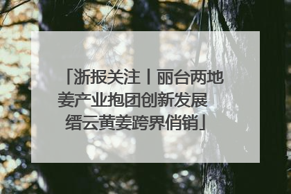 浙报关注丨丽台两地姜产业抱团创新发展 缙云黄姜跨界俏销