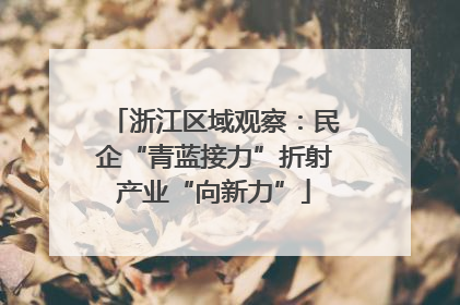 浙江区域观察：民企“青蓝接力”折射产业“向新力”