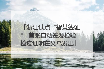 浙江试点“智慧签证” 首张自动签发检验检疫证明在义乌发出