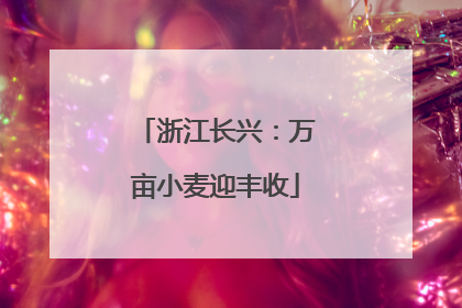 浙江长兴：万亩小麦迎丰收