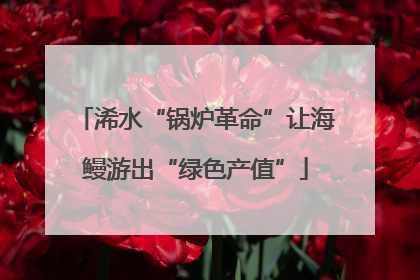 浠水“锅炉革命”让海鳗游出“绿色产值”
